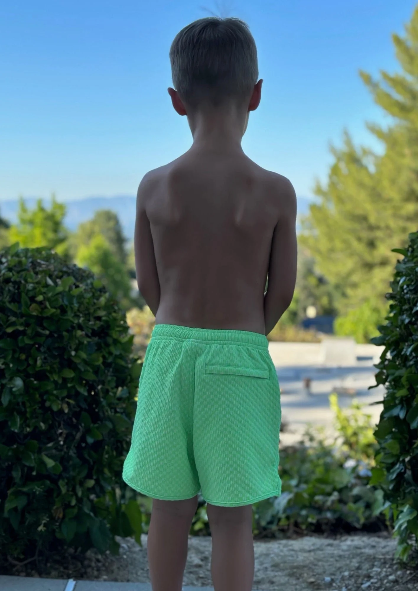 Indy Boy's Swim Trunk - Lime Green Check - Image 5